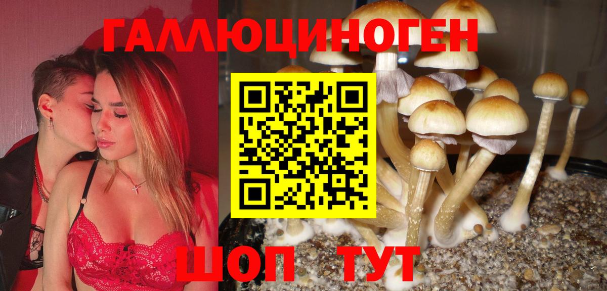 Псилоцибиновые грибы ЛСД Вологда