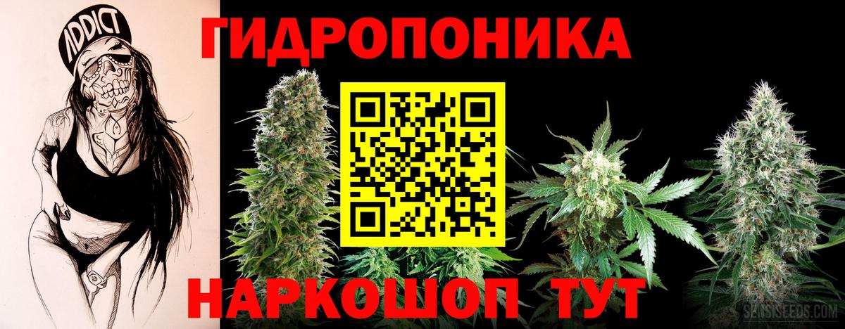 Канабис индика  Вход с VPN  Бошки марихуана White Widow  МАРИХУАНА индика  Вологда 